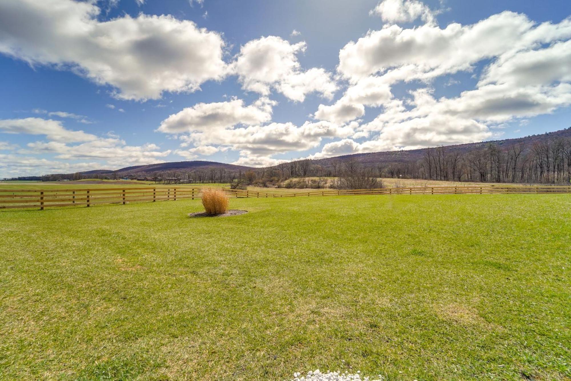 Mtn-view 18 Mi To Penn State! Apartment Spring Mills